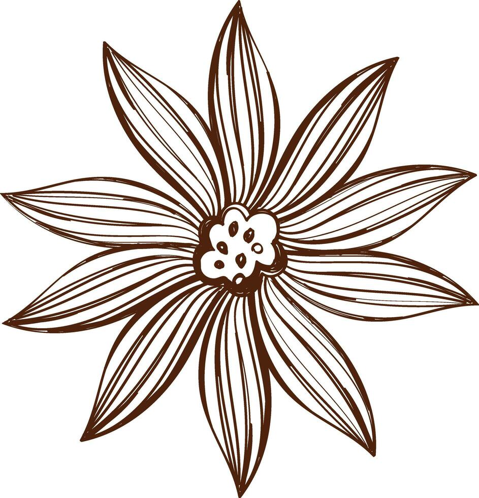 marrón lineal garabatear estilo margarita flor vector. vector