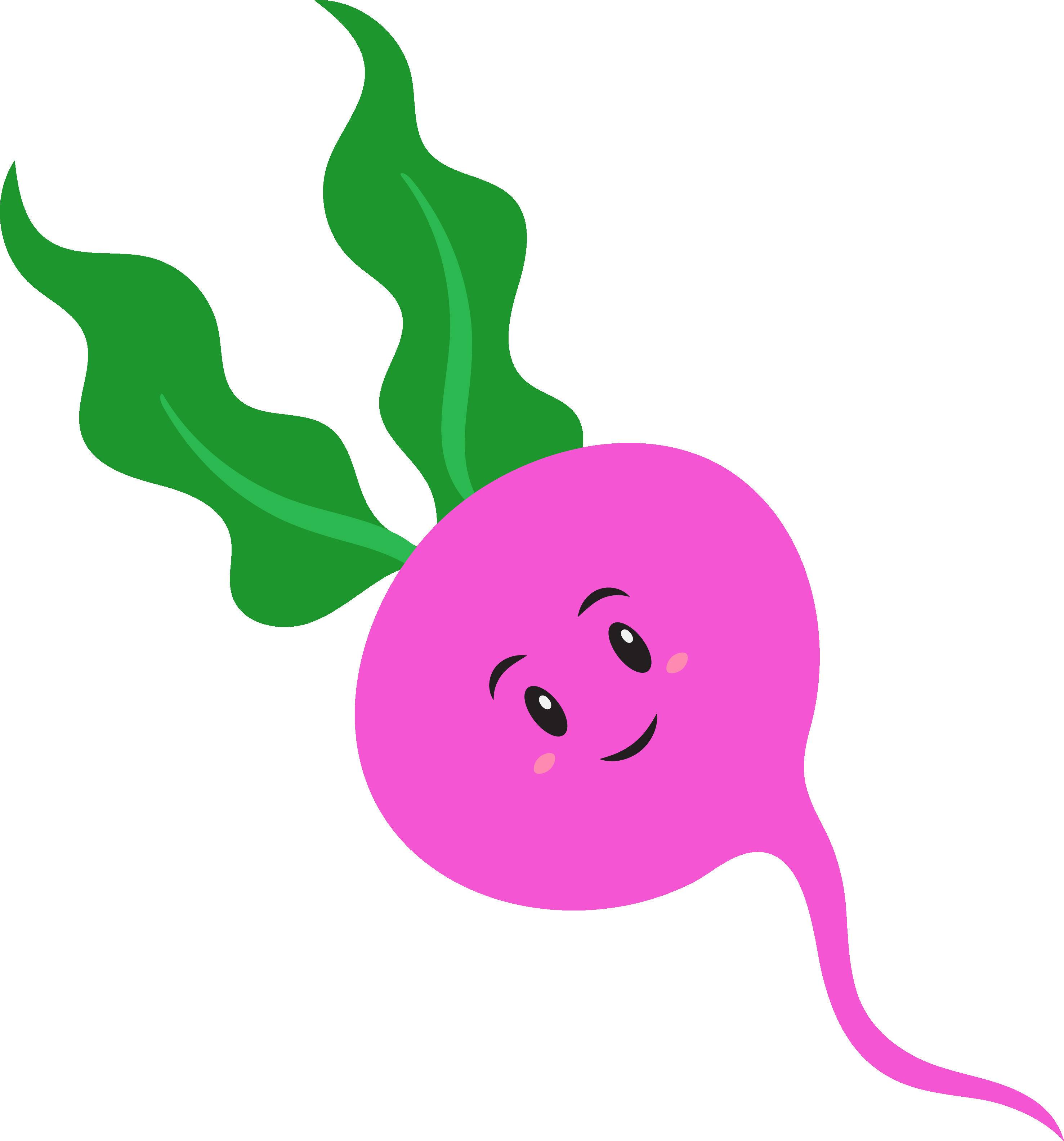 Cartoon Emoji Turnip Or Beetroot In Pink And Green Color. 24556535