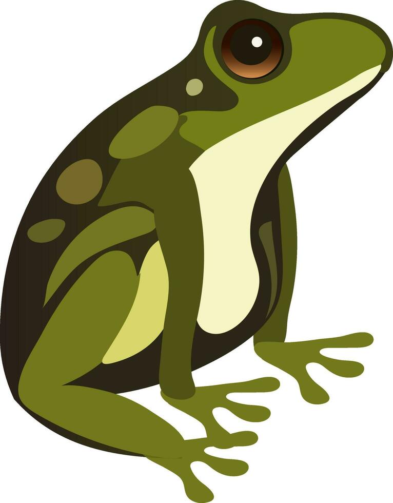 Isolated Green Frog Icon In Flat Style. vector