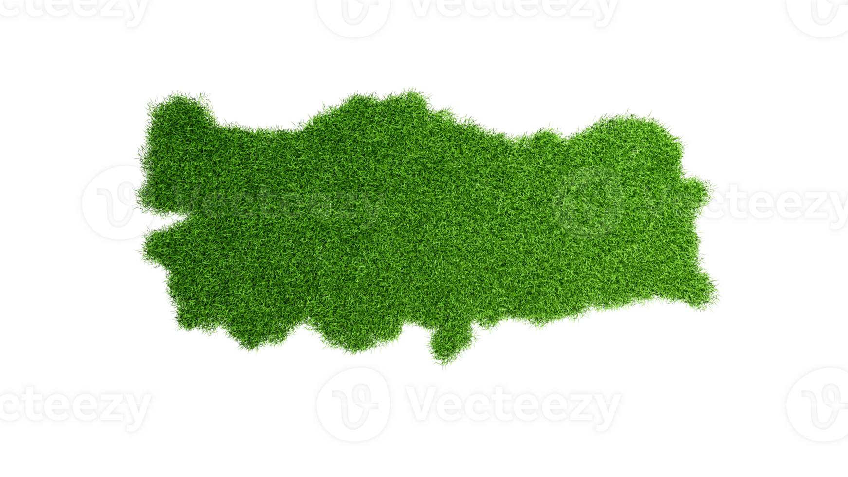 Detailed Turkey Map with green Grass 3d illustration png