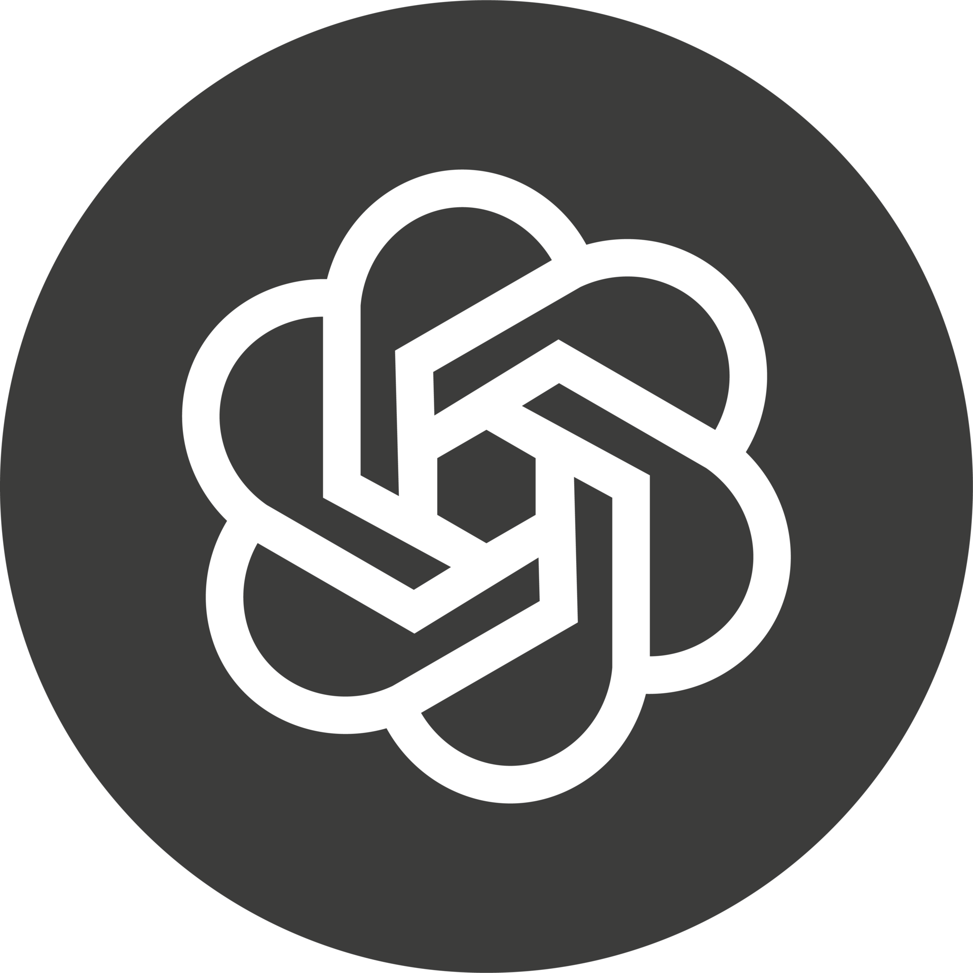 Openai ChatGPT Logo Icon 24558811 PNG