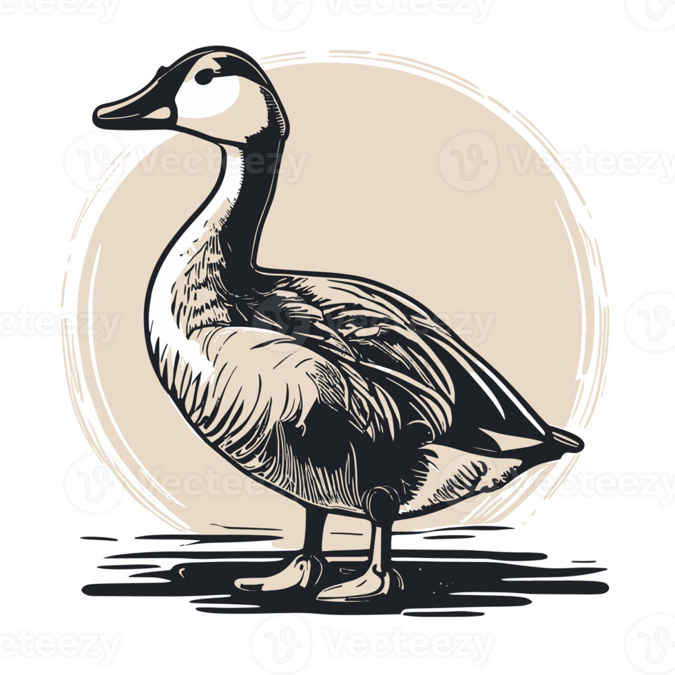 Goose Cute, Png