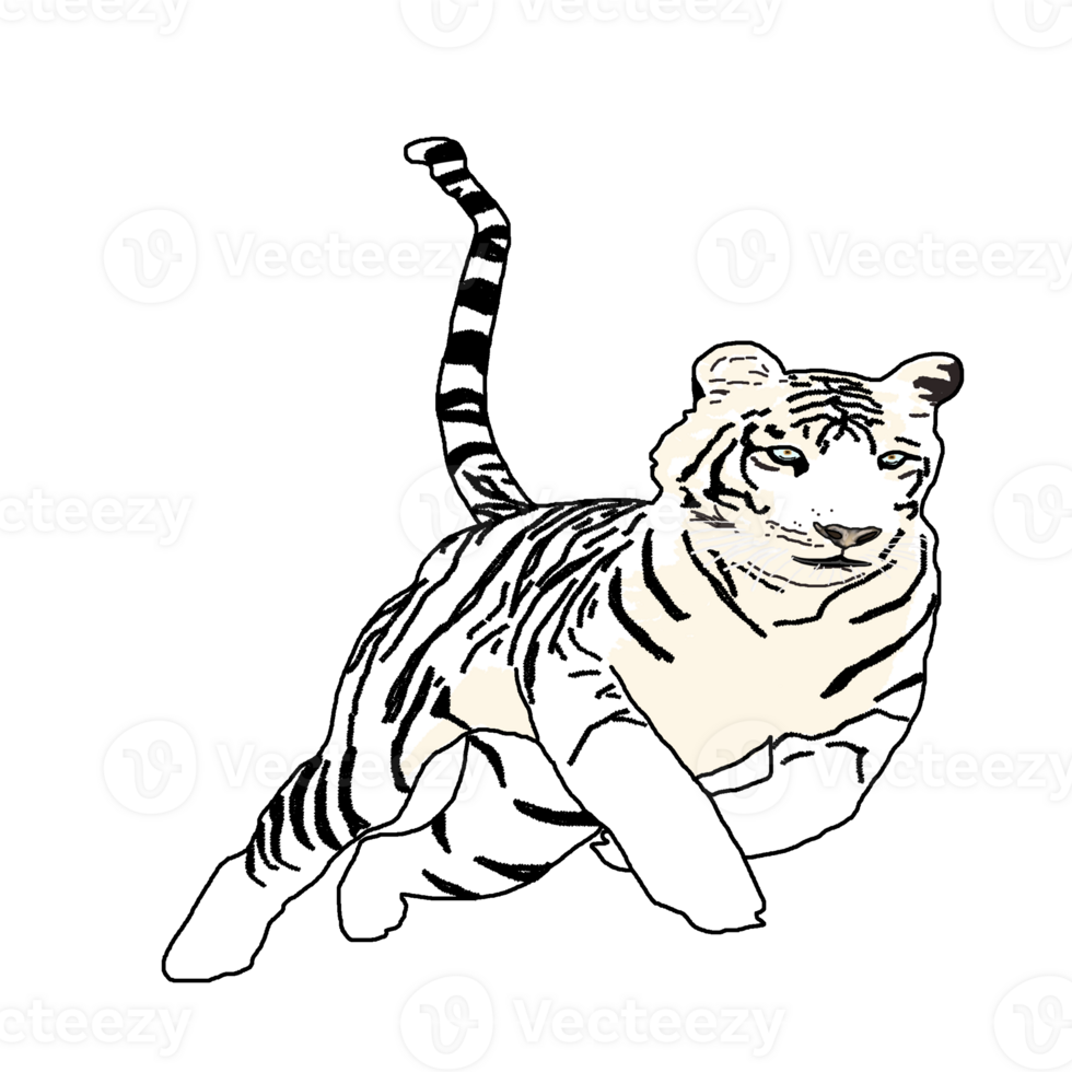 icon white tiger 24560000 PNG