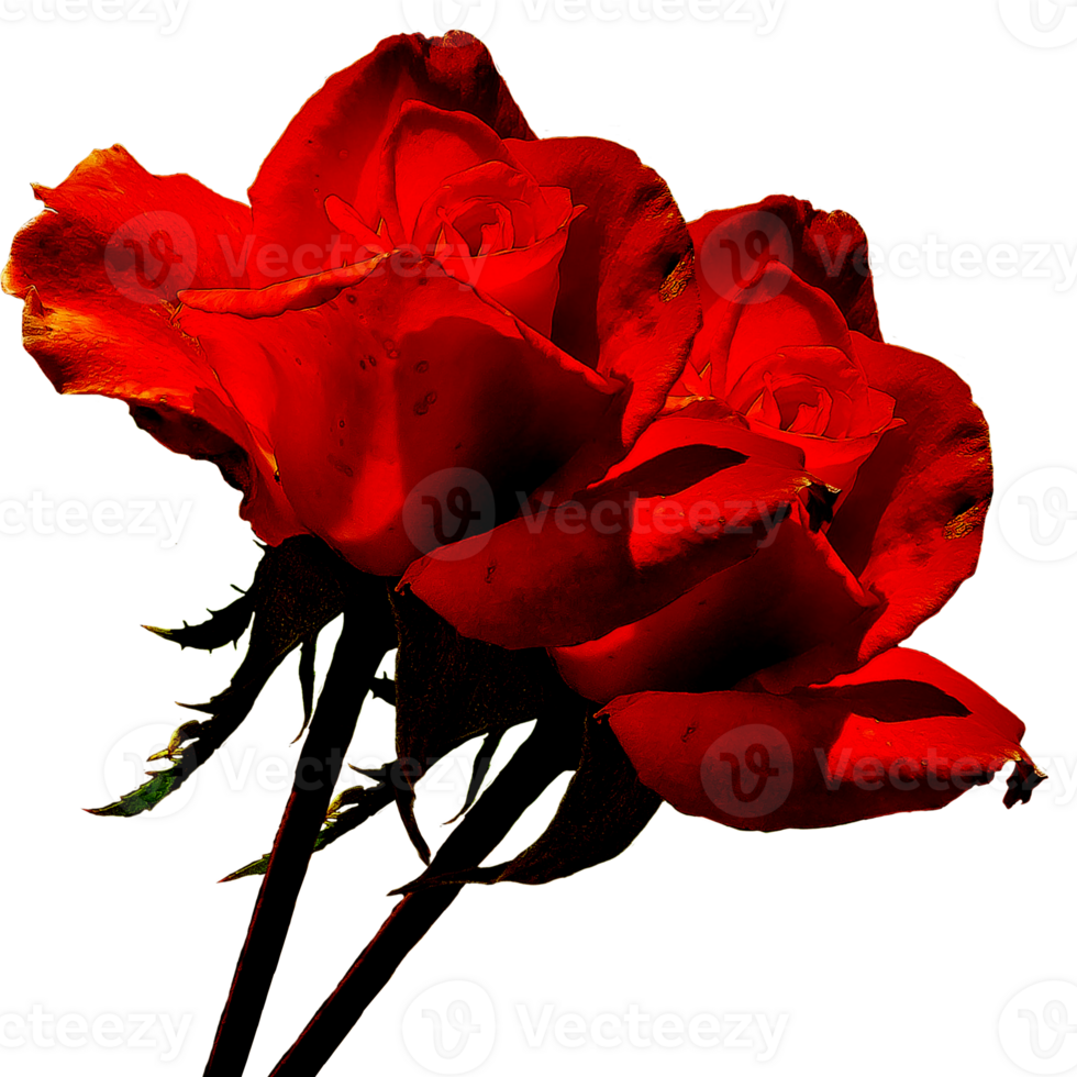 icon flower roses png