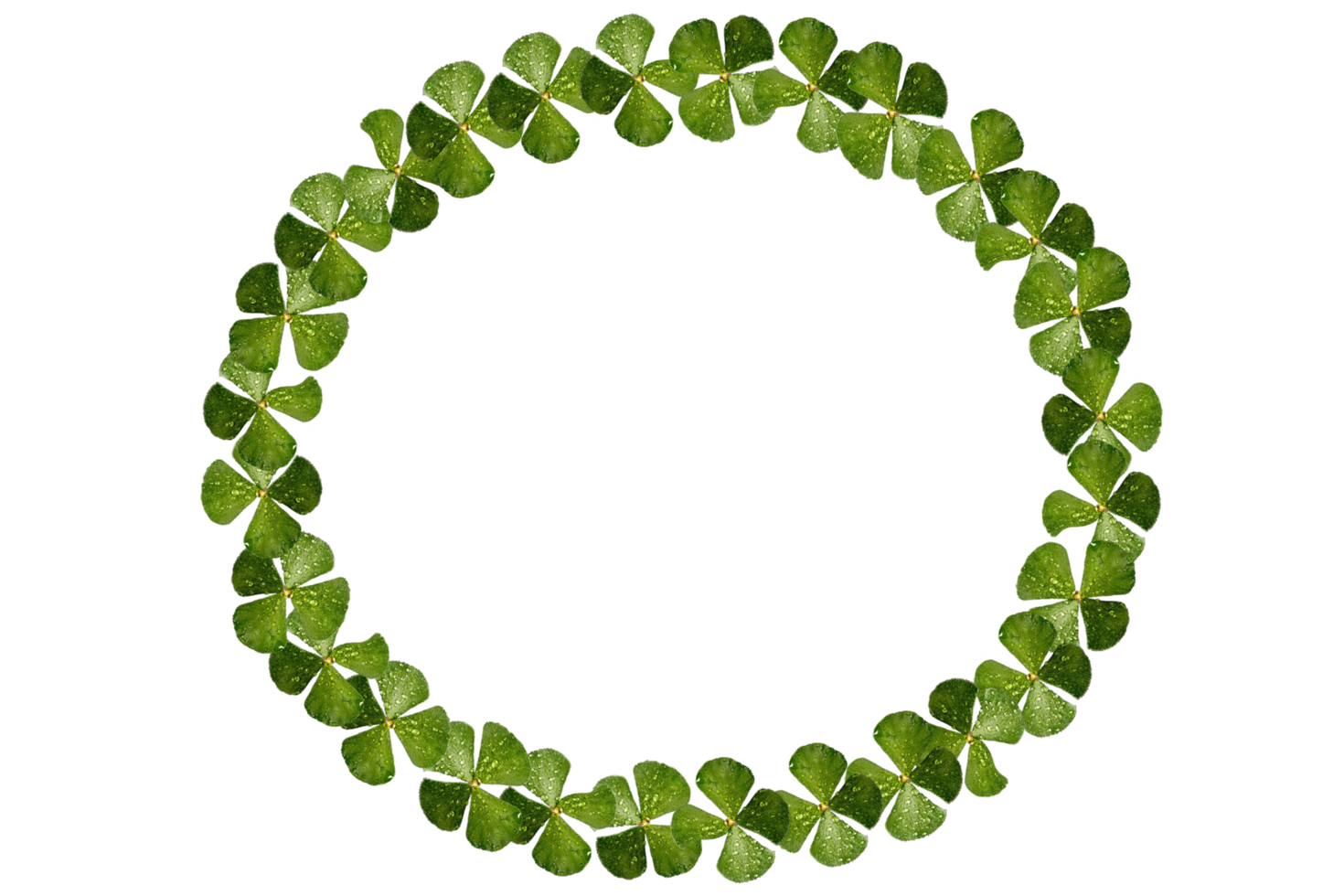 round circle frame of clover png