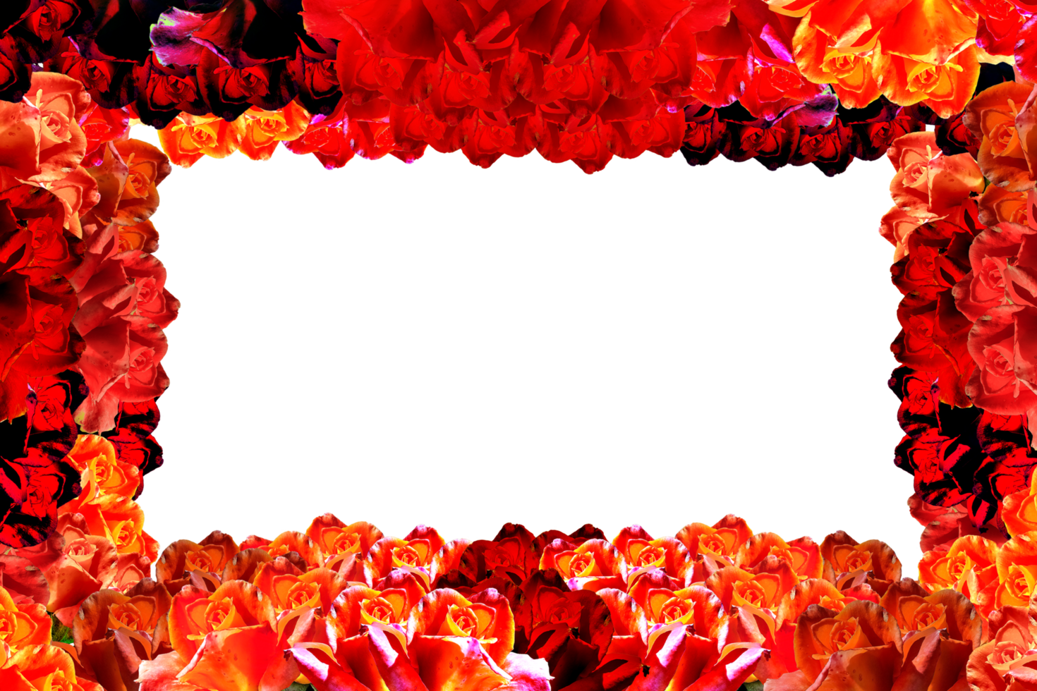 icon frame with roses png