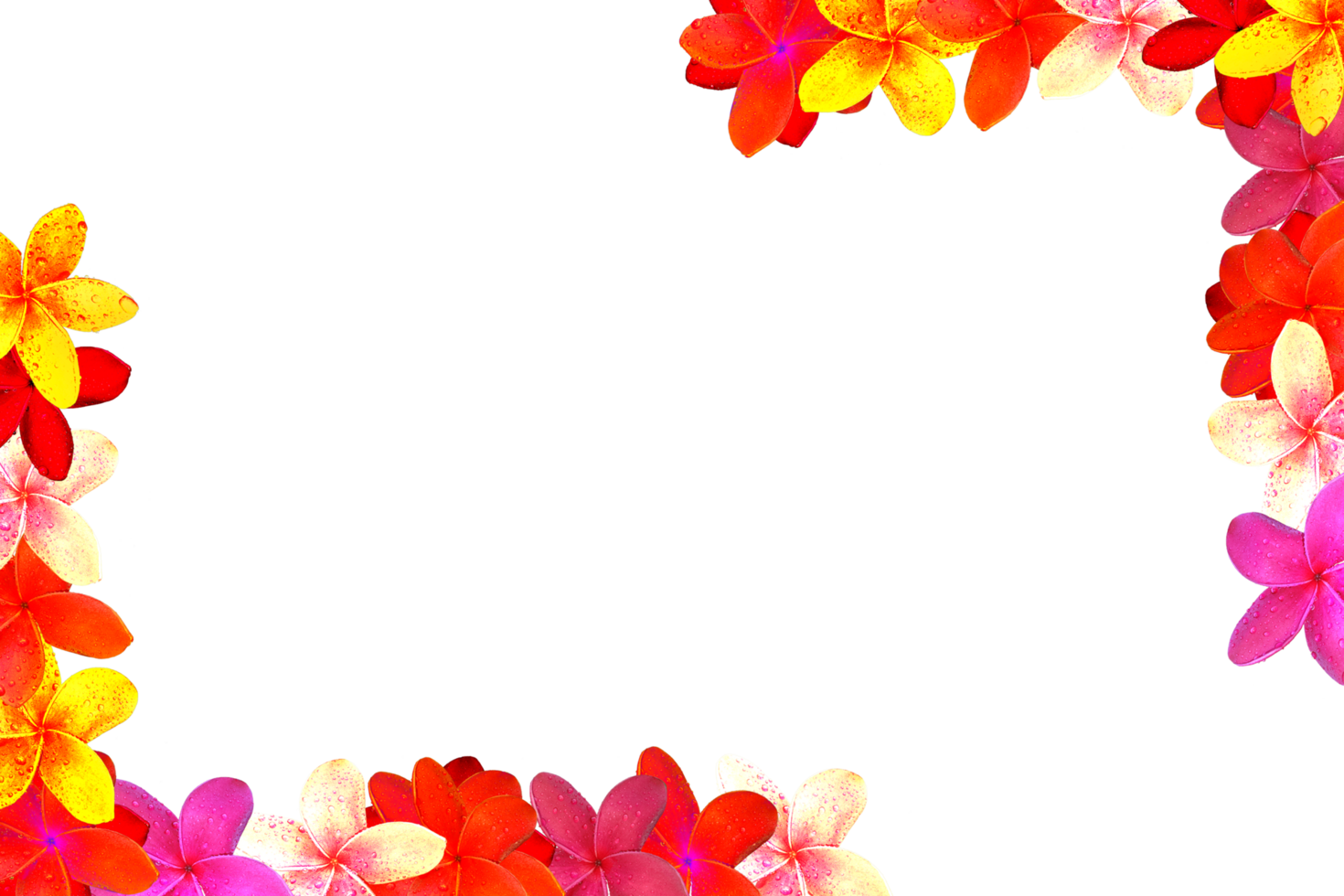 icoon decoratie bloemen het formulier vorm patroon png