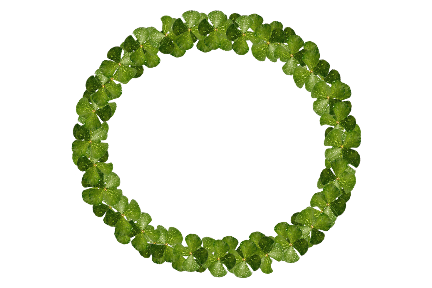 round circle frame of clover png