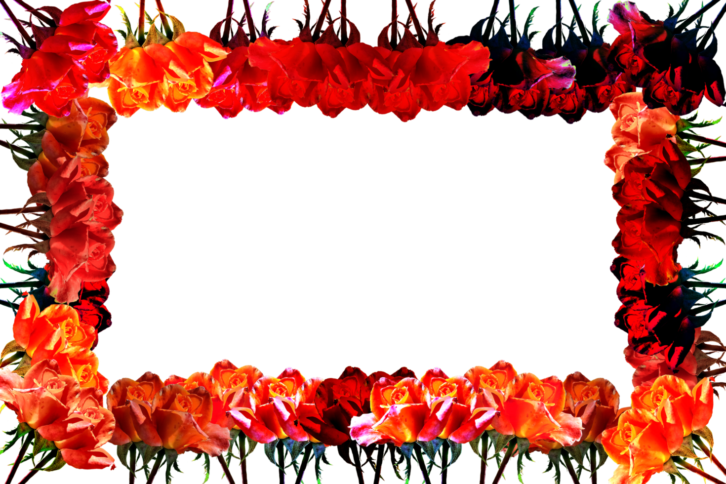 icon frame with roses png