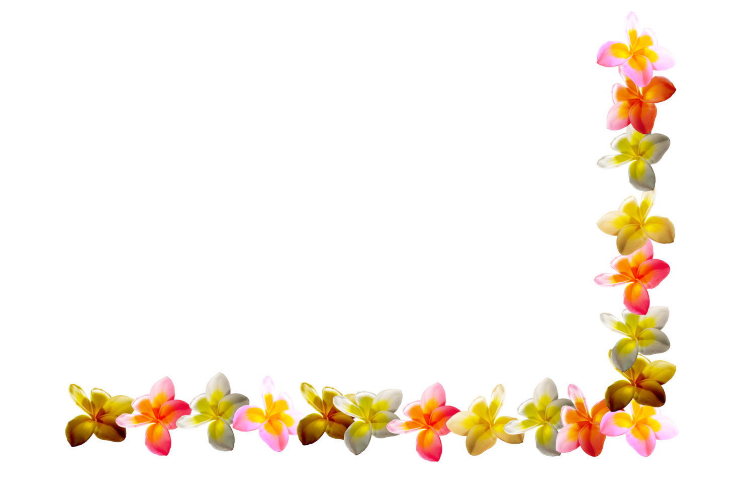 icon decoration flowers form shape pattern png