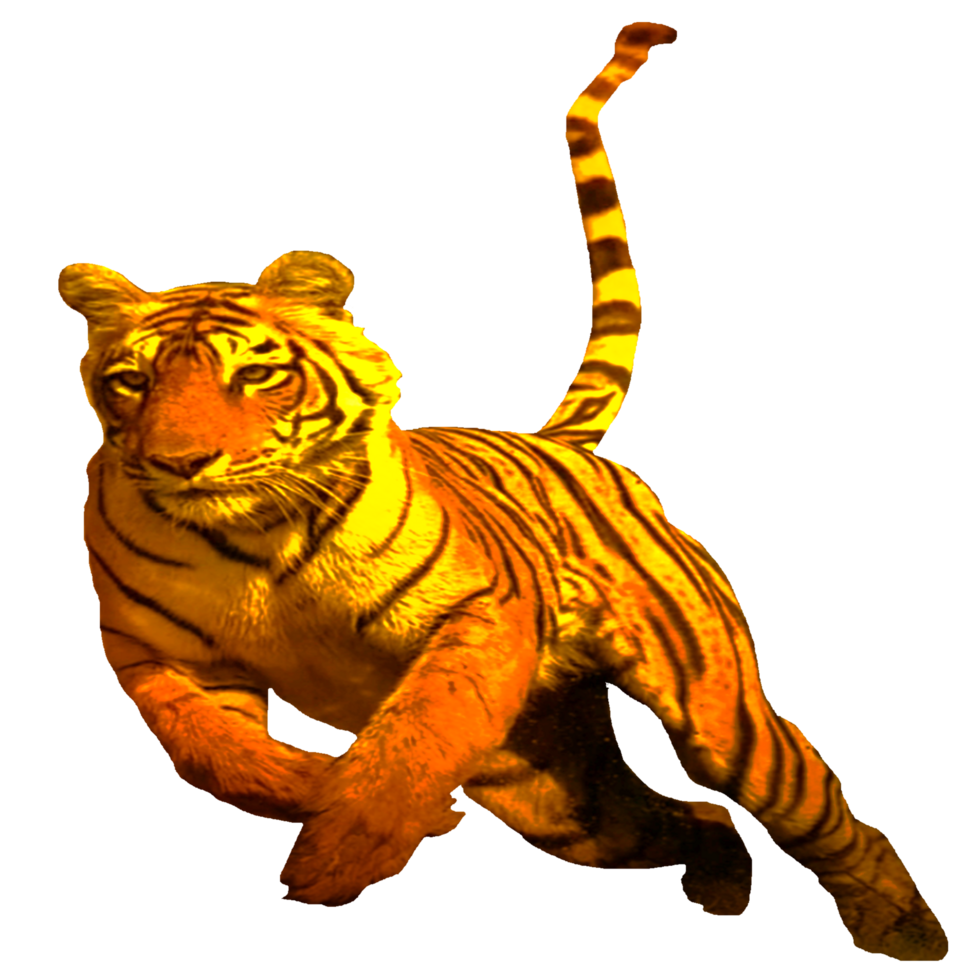 icon tiger king of the jungle png