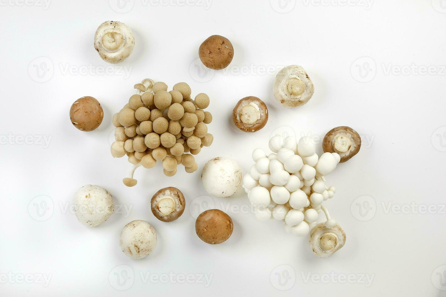 Mix white brown shimeji button mushroom on white background photo