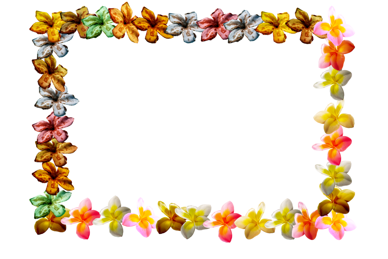 icon decoration flowers form shape pattern png