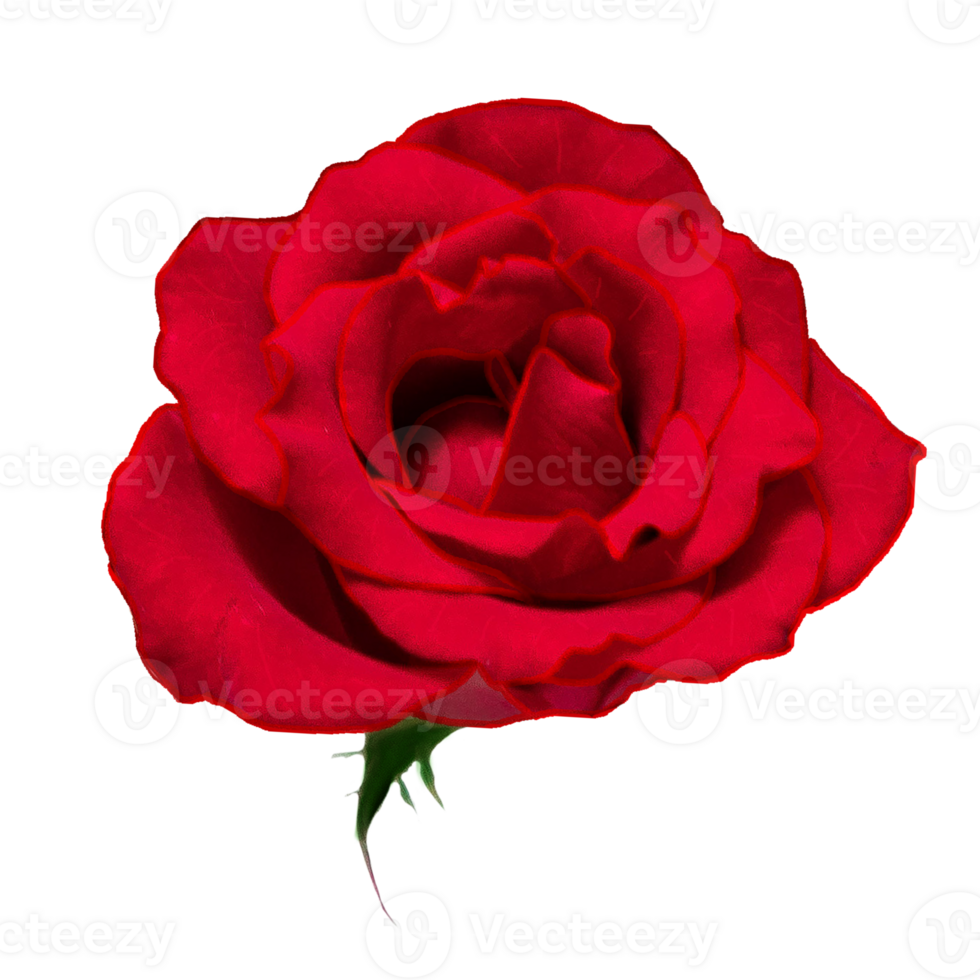 icon flower roses png