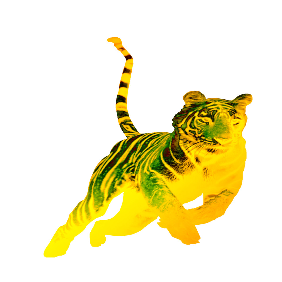 icon tiger king of the jungle png