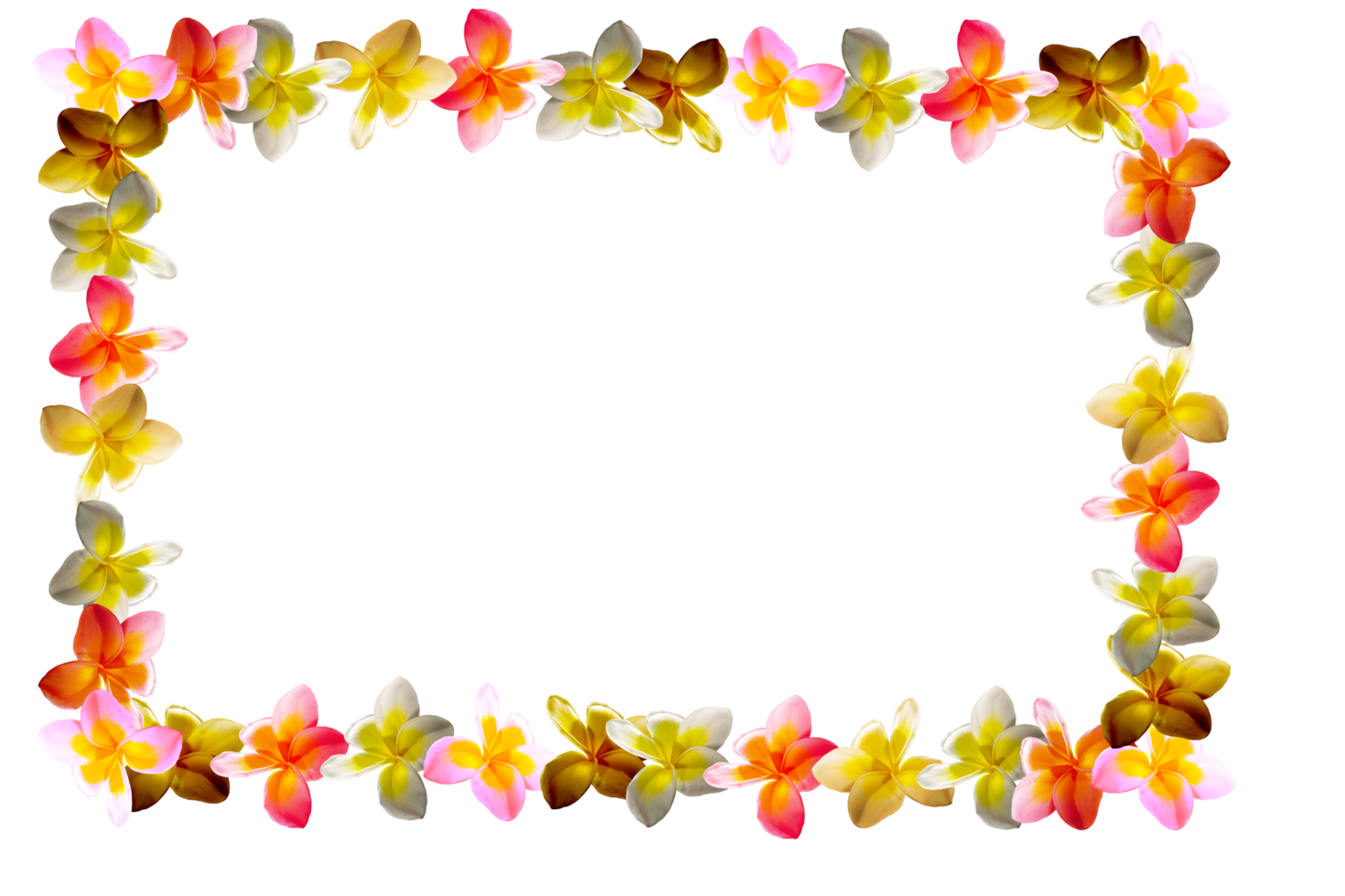 icon decoration flowers form shape pattern png