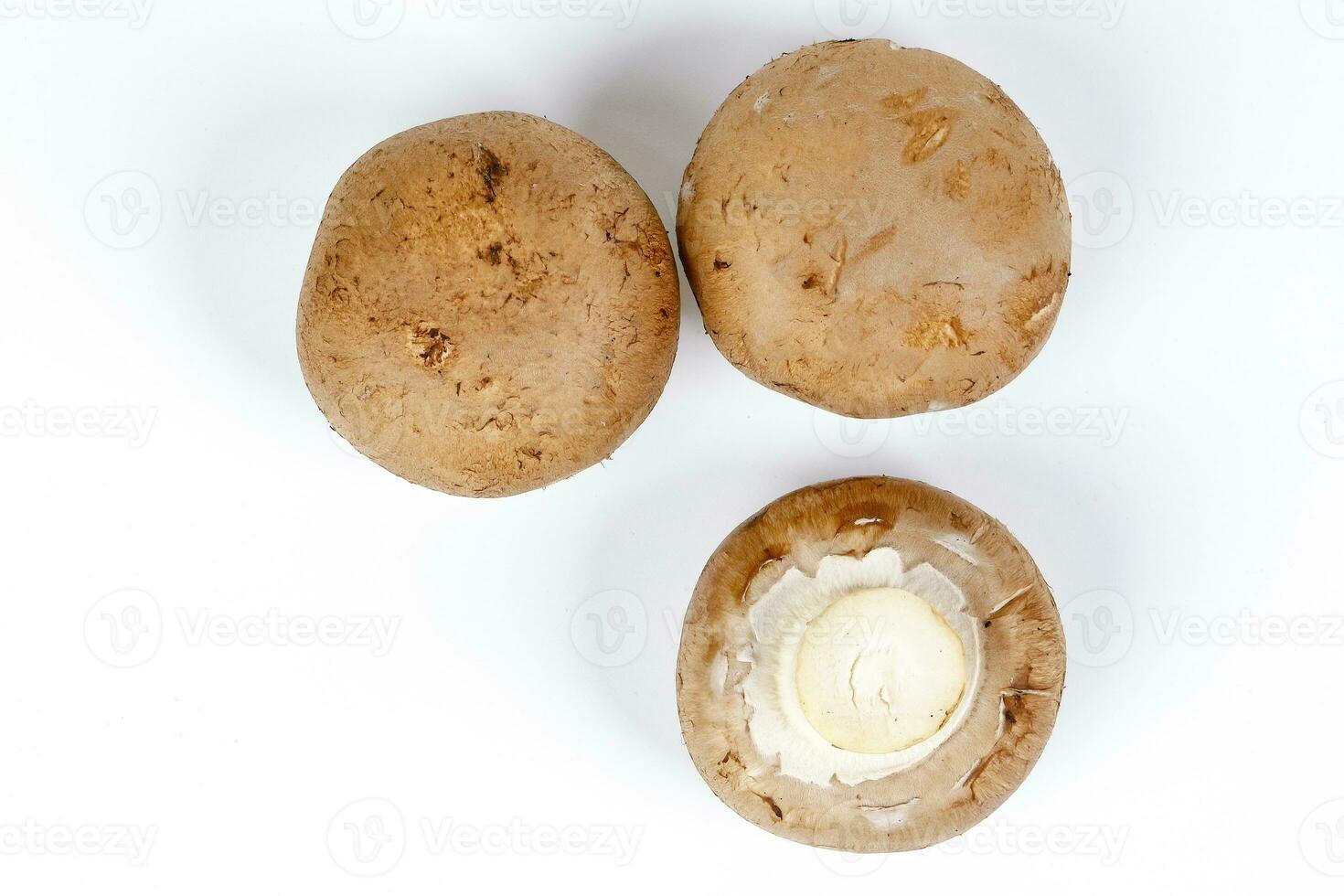 Brown button mushroom on white background top view photo