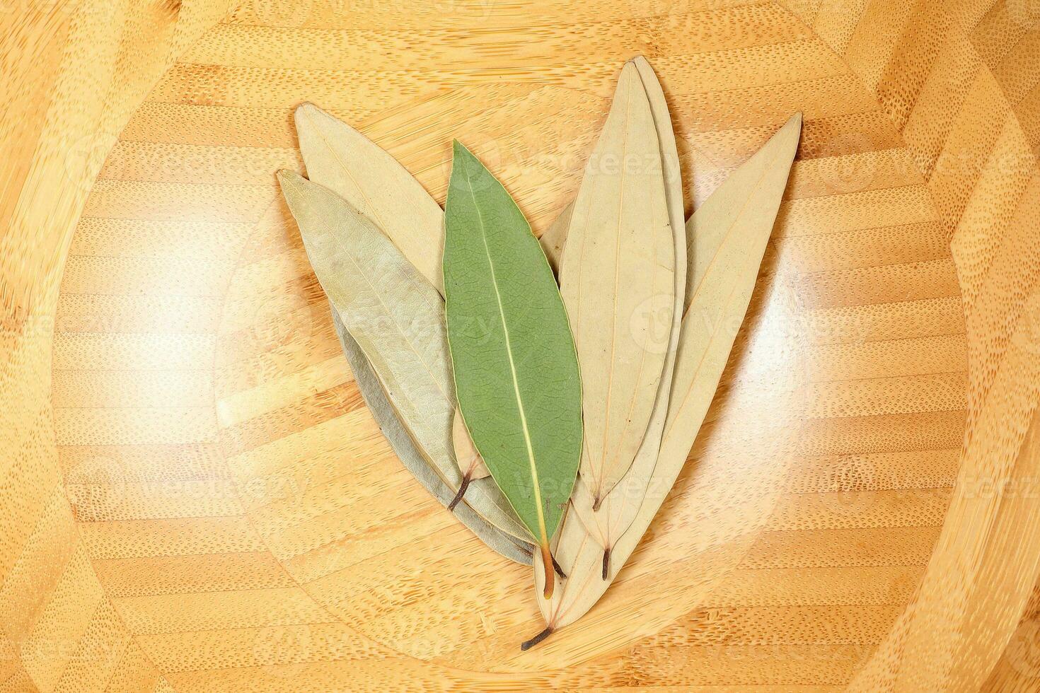 Bay leaf herb spice photo
