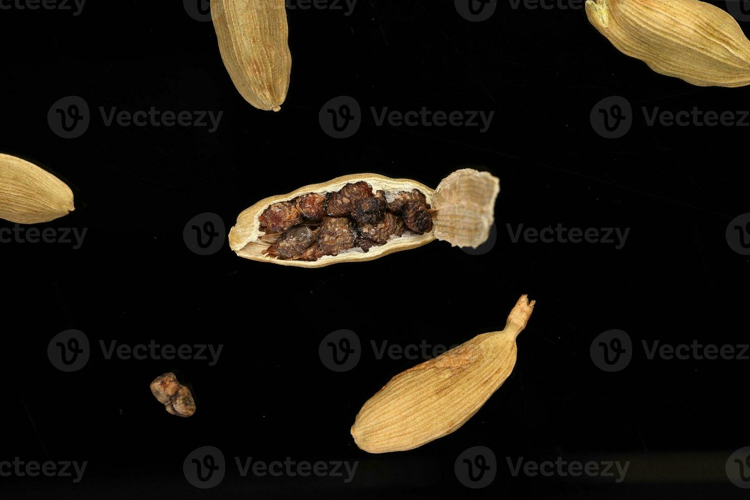 Cardamom fragrant spice seed closeup macro on black background photo