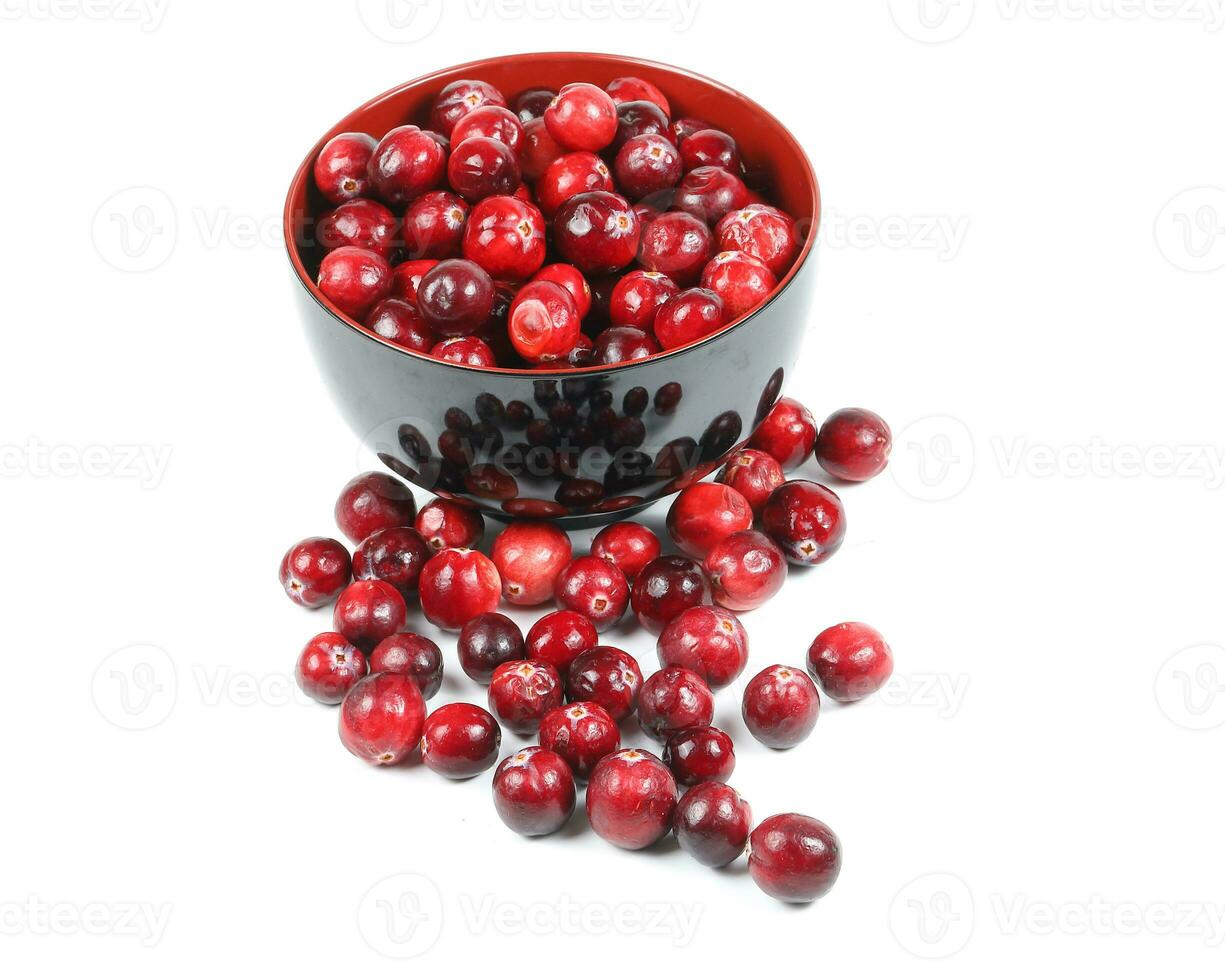 Small Red Cranberry photo