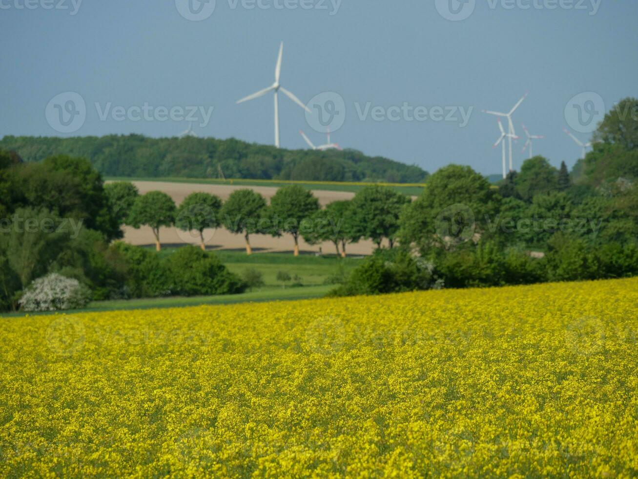 spring time in westphalia photo