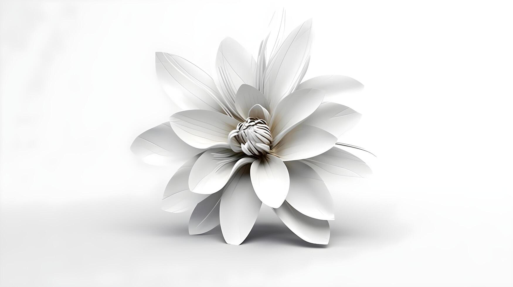 Abstract white flower art , decorative flowers, floral background, botanical pattern, isolated design elements, illustration photo