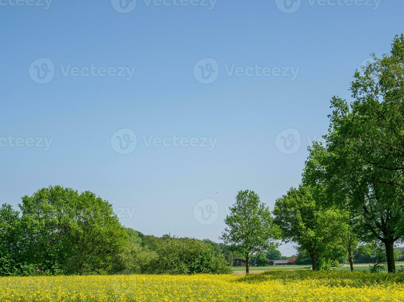 spring time in germany photo