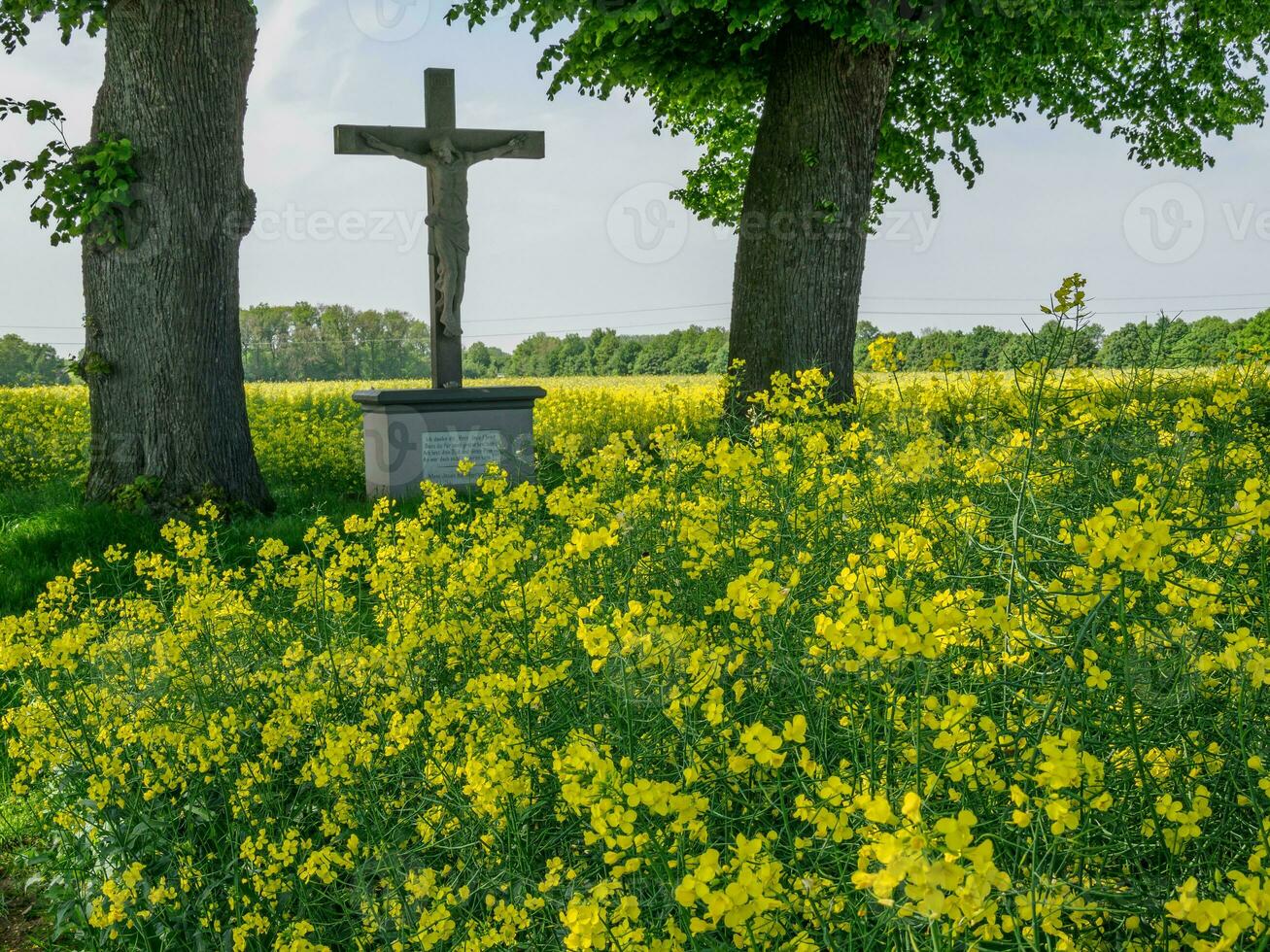 primavera hora en Alemania foto