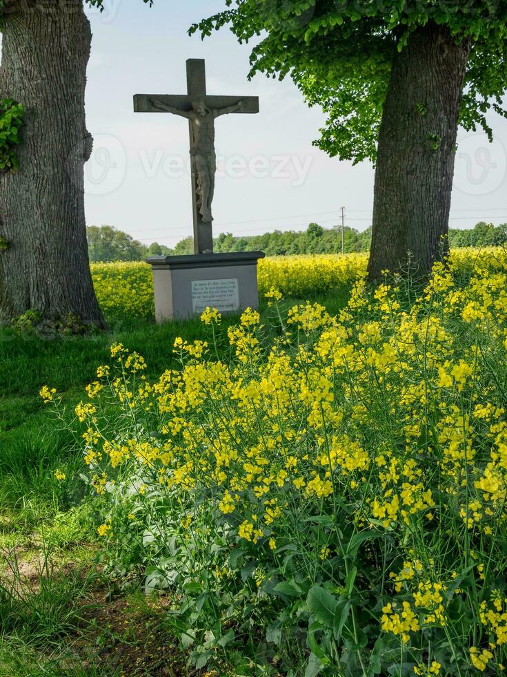 spring time in germany photo