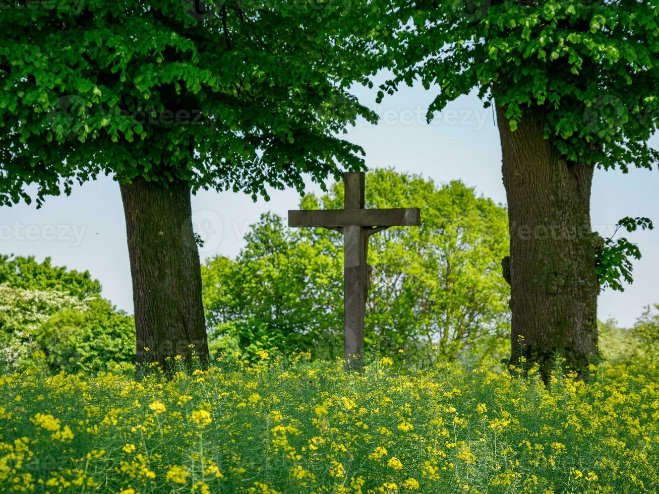 spring time in germany photo