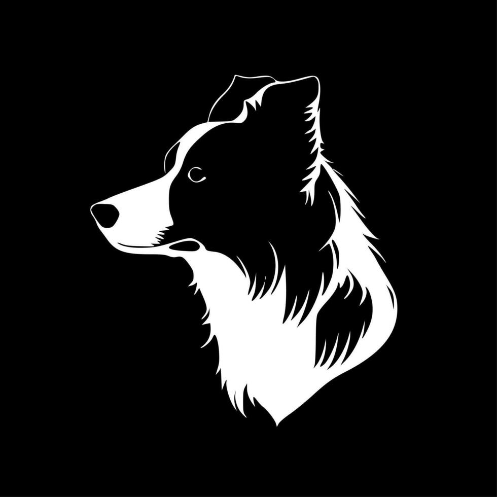 Border Collie - High Quality Vector Logo - Vector illustration ideal for T-shirt graphic