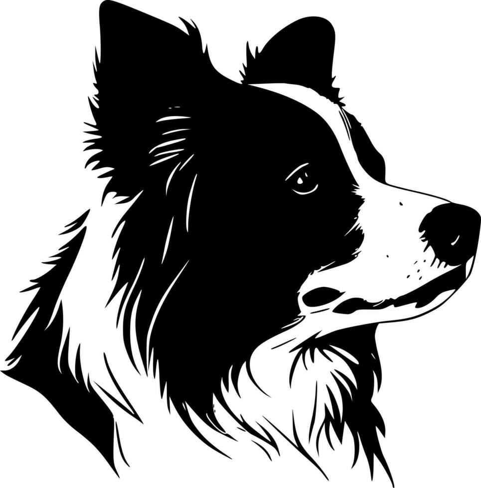 Border Collie - Black and White Isolated Icon - Vector illustration