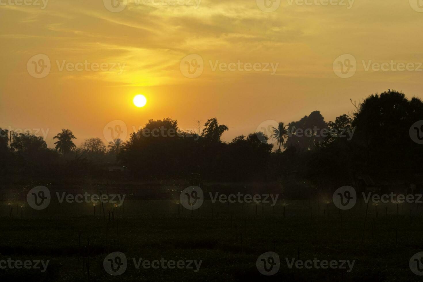 beautiful sun is rising in the vegetable garden in the early morning of farmers, watering with springers to clear the morning dew and prevent disease. photo