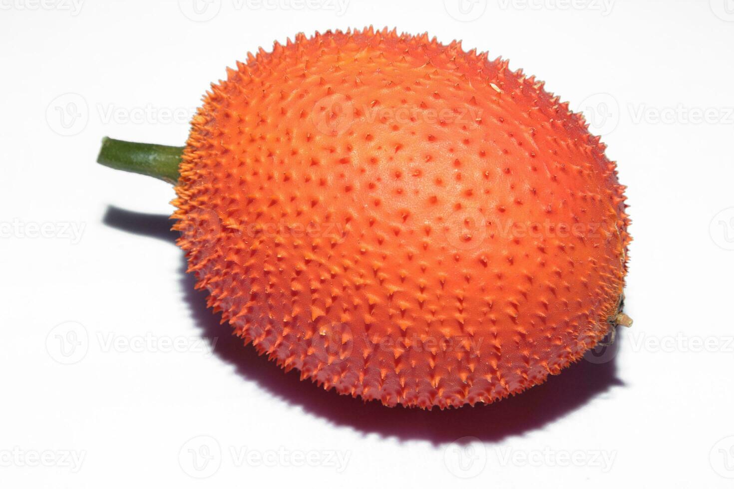 Gac - Spring Bitter Cucumber Orange useful fruit and herb-make smoothie-on white background using electric lighting and flash in my home studio. photo