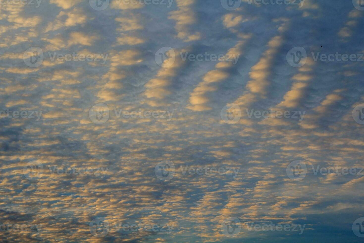 Evening altocumulus clouds Like a flock of mackerel and a flock of sheep floating in a beautiful sky in a rural area in Thailand, when the sun has set, it is a panoramic view of warmth, romance, peace photo