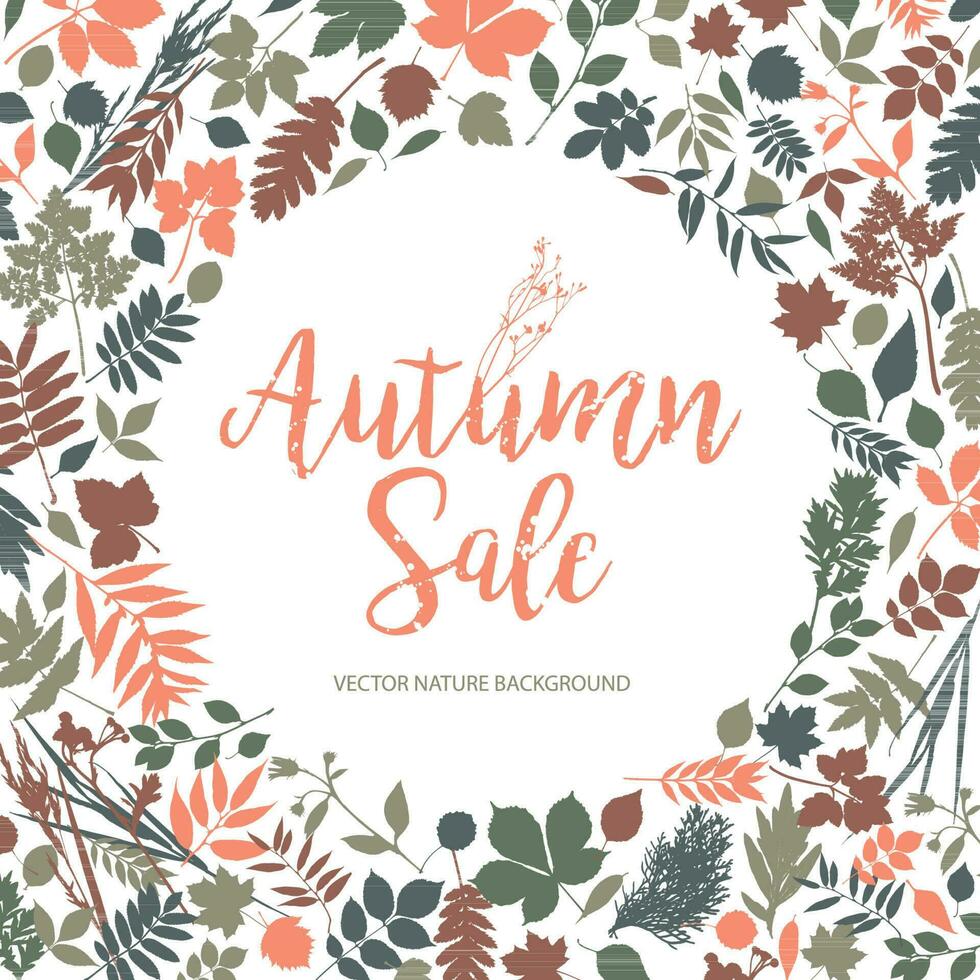 Text Autumn Sale in calligraphic hand drawn style. vector