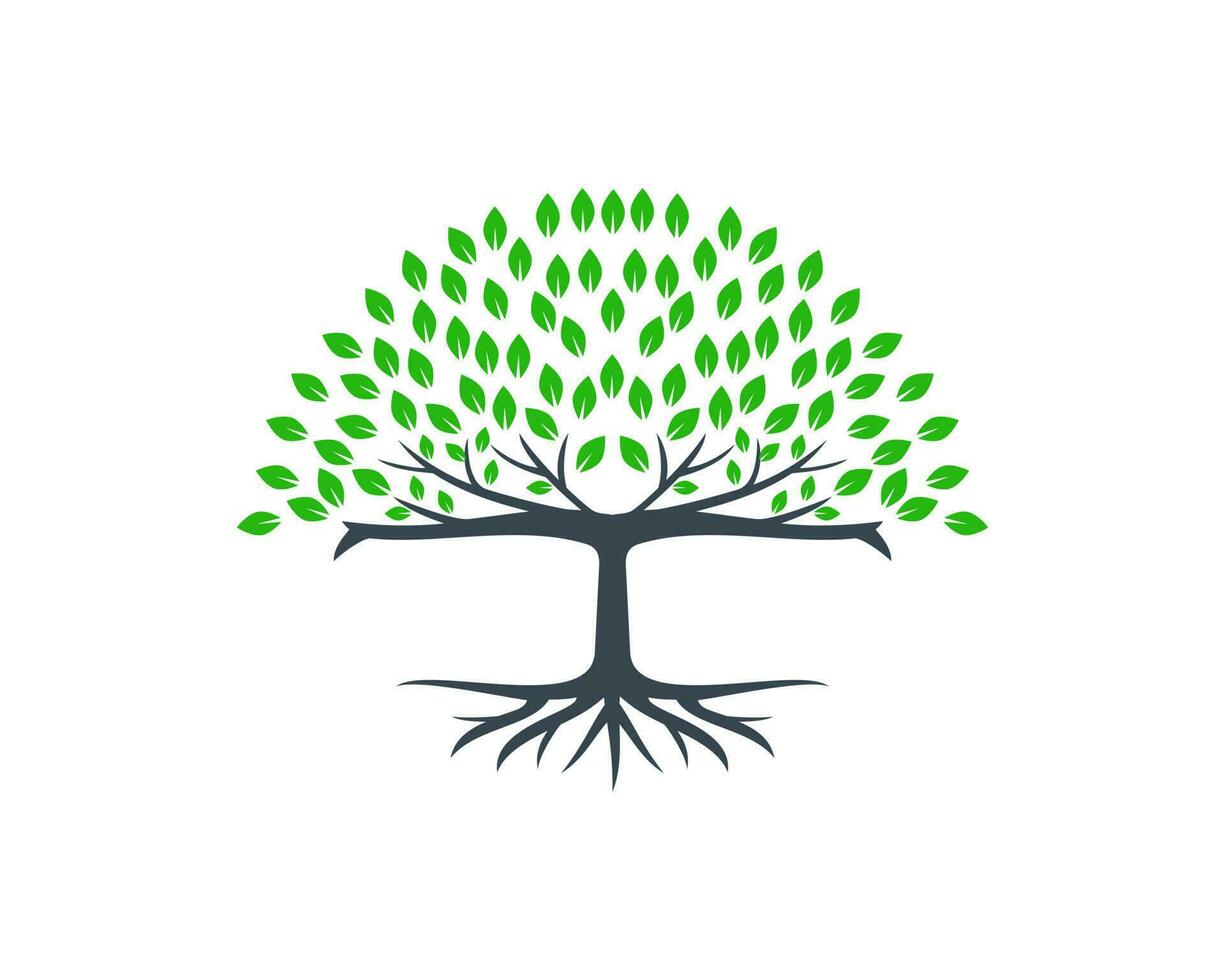 Root of the Tree logo vector illustration. Big Tree logo design inspiration isolated on white background. Natural and environmental icon