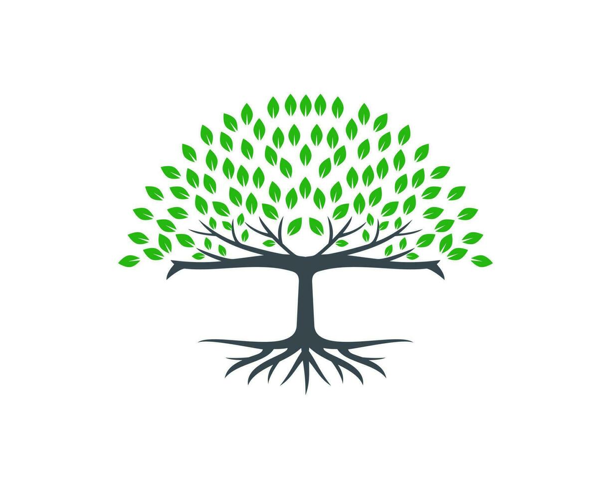 raíz de el árbol logo vector ilustración. grande árbol logo diseño inspiración aislado en blanco antecedentes. natural y ambiental icono