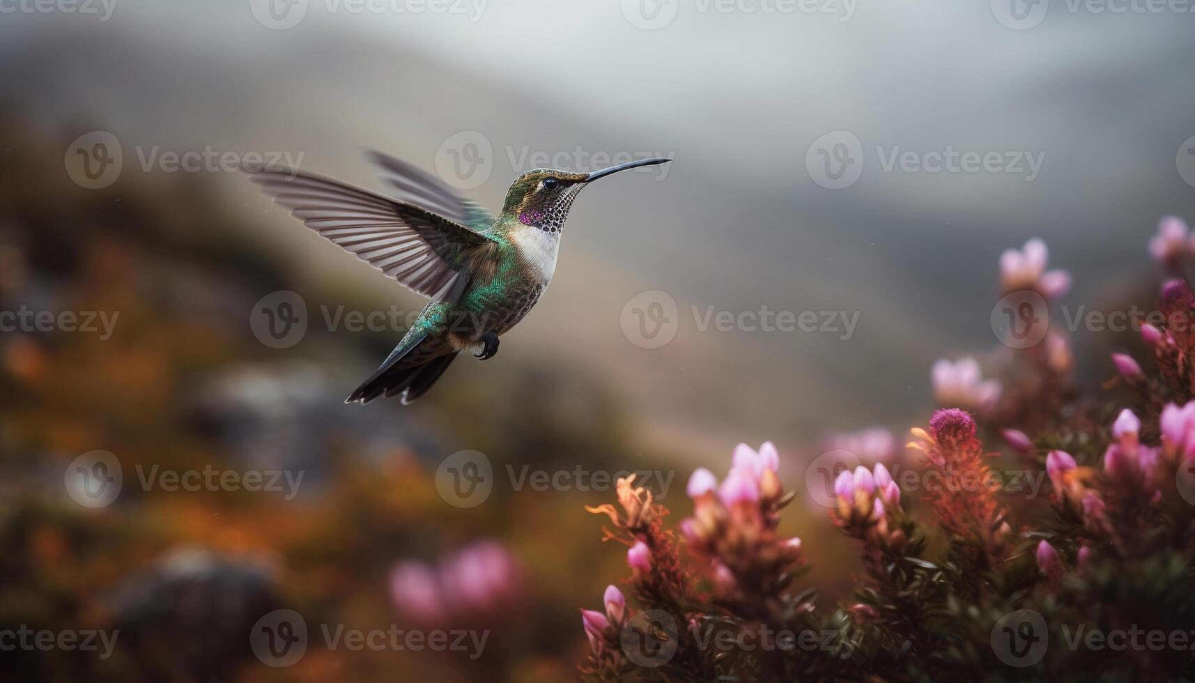 colibrí se cierne, poliniza, se extiende alas en medio aire generado por ai foto