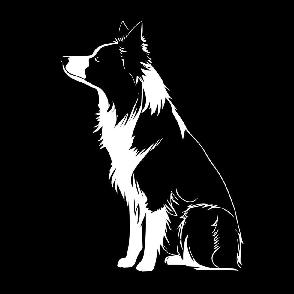 Border Collie, Black and White Vector illustration