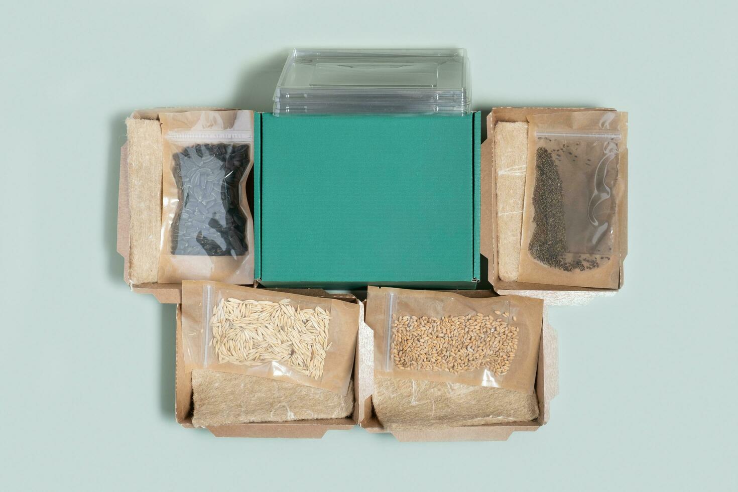 Set for growing sprouts from seeds. Seeds, linen mats, boxes and lids flat lay, top view photo