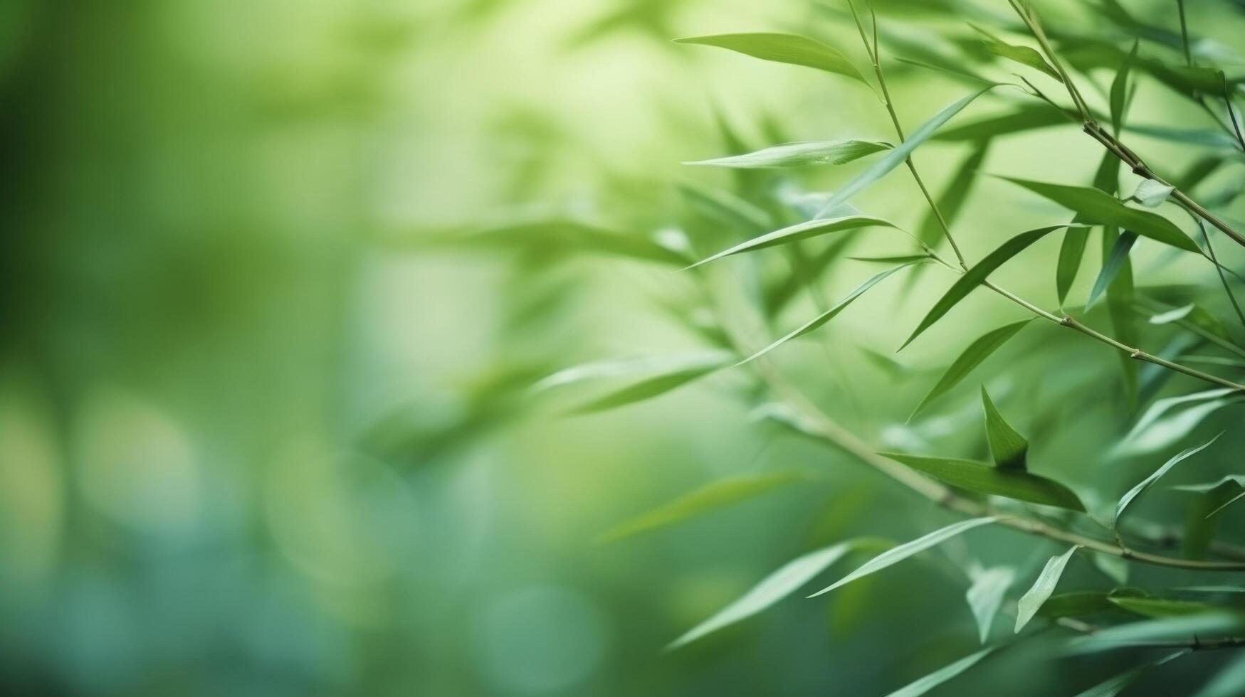 Green natural background with bamboo. Illustration photo