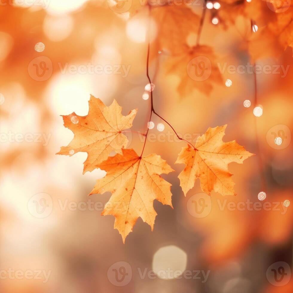 Orange leaves fall background. Illustration photo