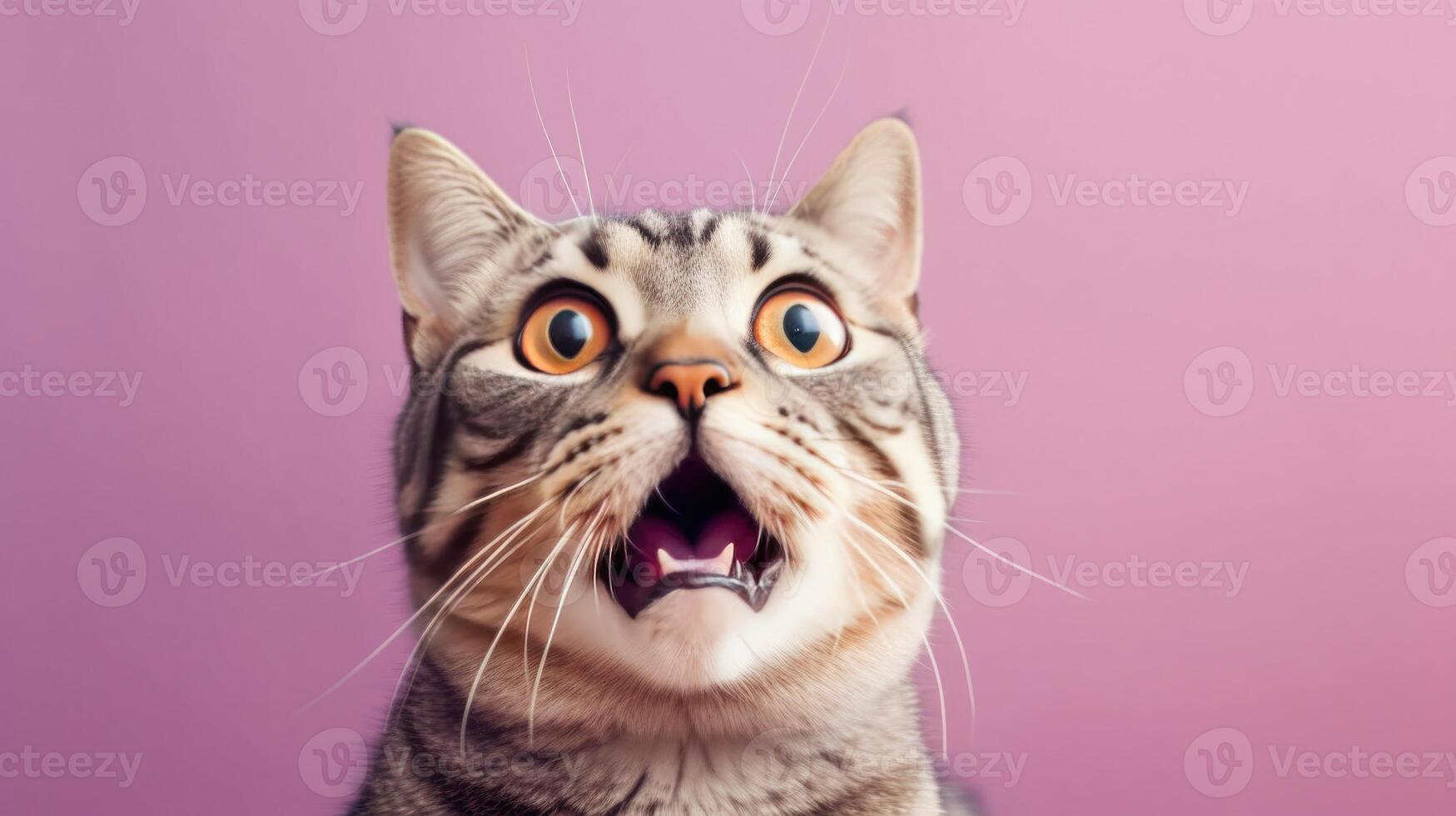 Surprised cat on pastel background. Illustration photo