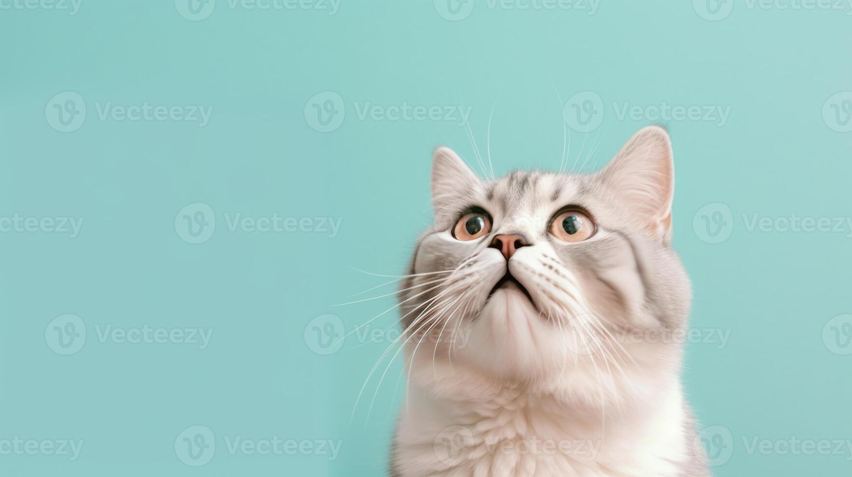 Surprised cat on pastel background. Illustration photo