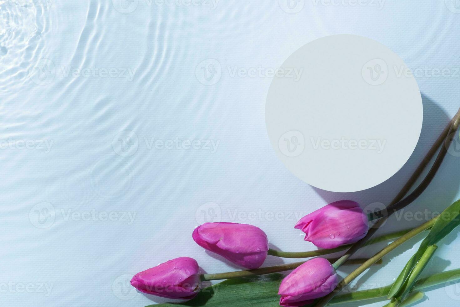 Podium or pedestal with water ripple and tulips flat lay, top view. Cosmetic template, copy space photo