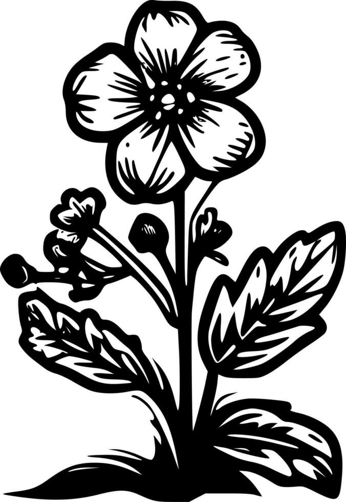 Primrose, Black and White Vector illustration