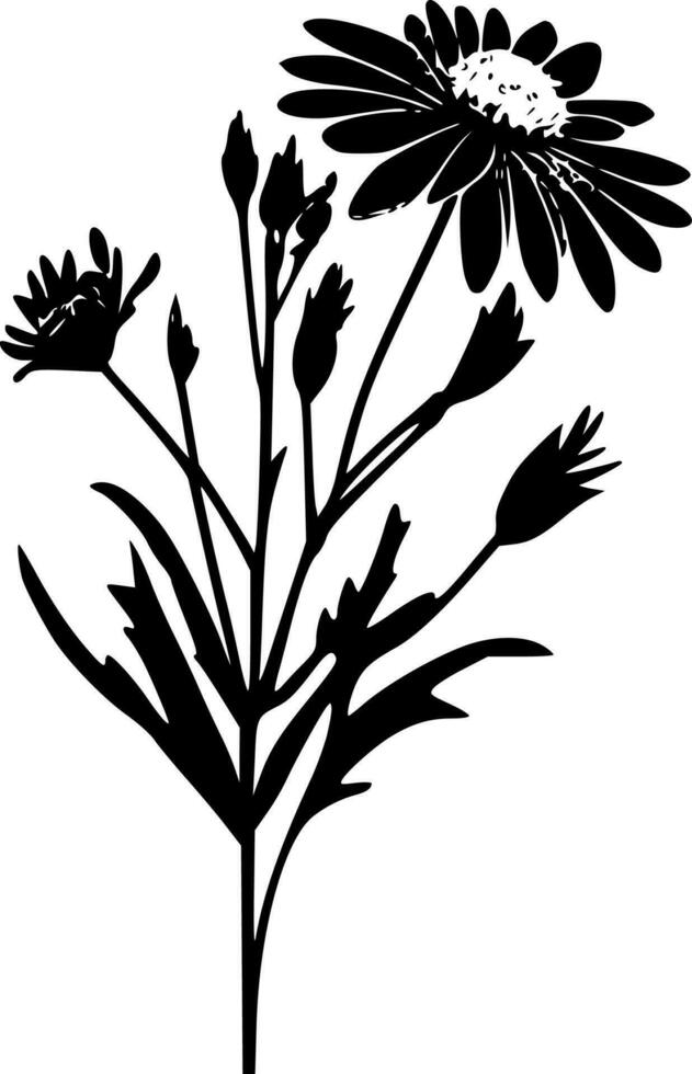 Wildflower, Black and White Vector illustration