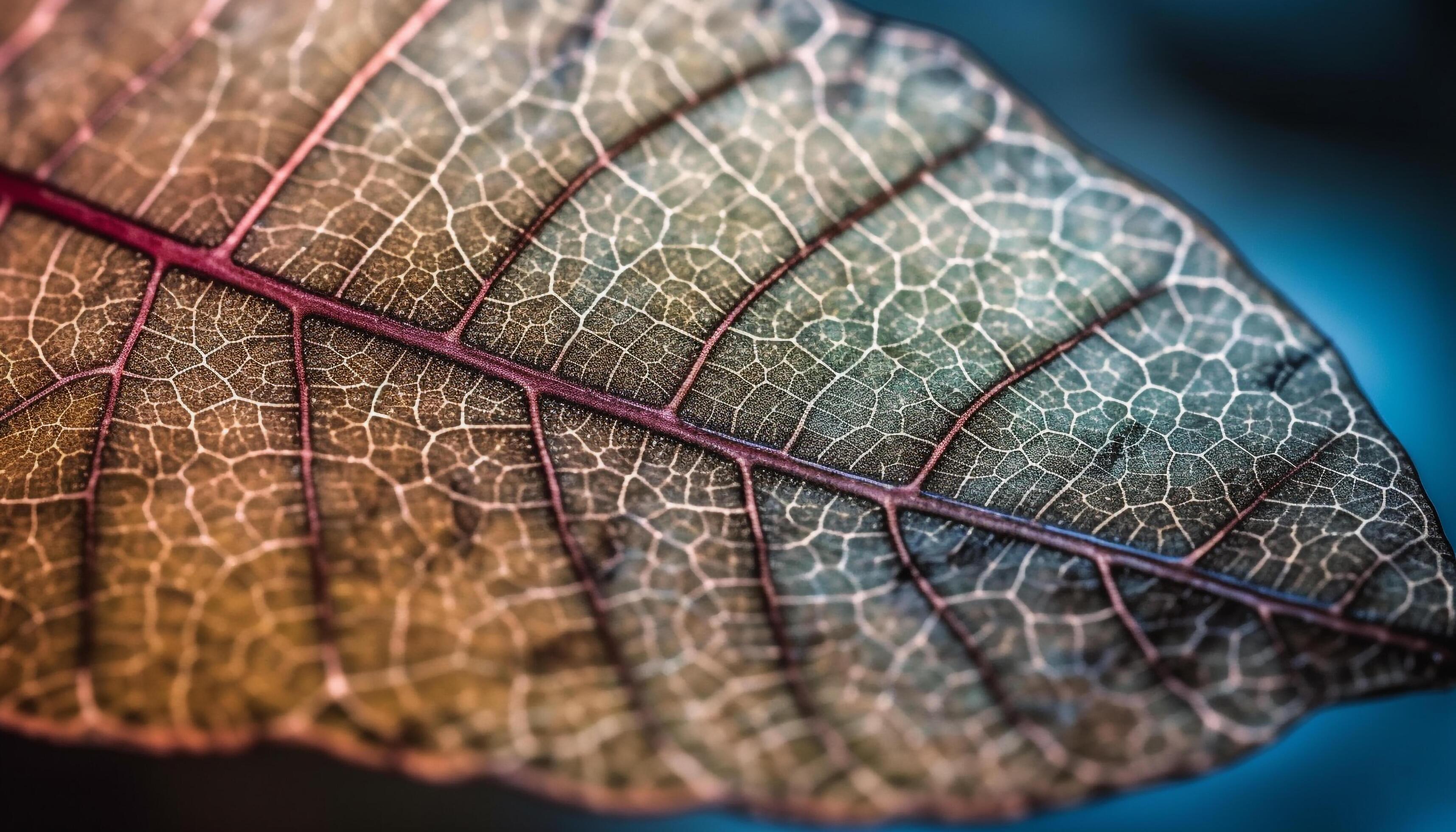Vibrant leaf vein pattern, close up of organic plant symmetry generated