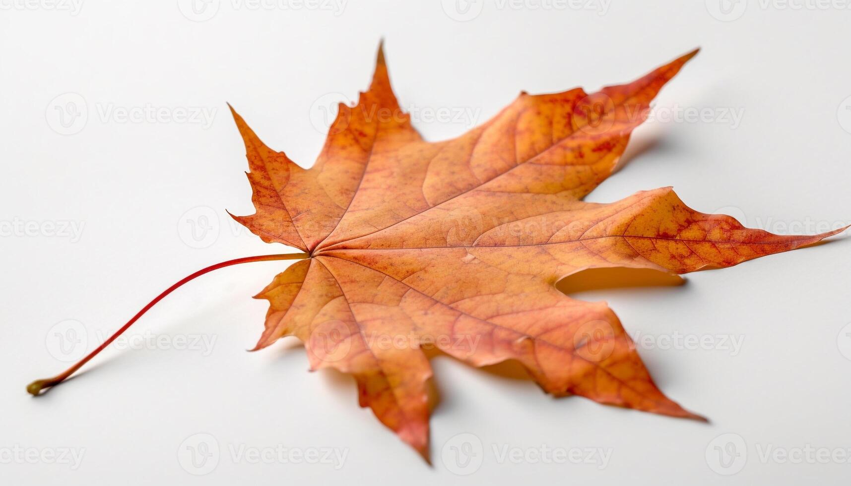 vibrante otoño arce hoja, belleza en naturaleza generativo ai foto